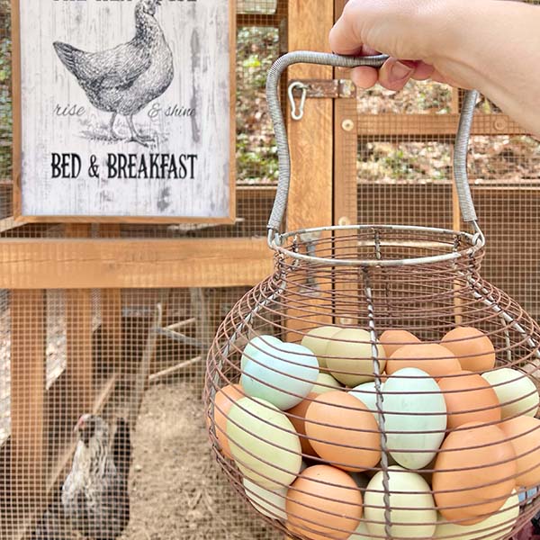 FOUND Metal Wire Egg Basket